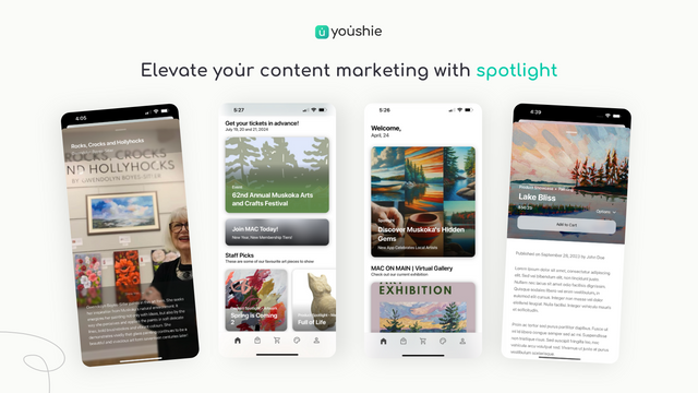 Spotlight, der viser blogindhold, kuraterede produkter og mere