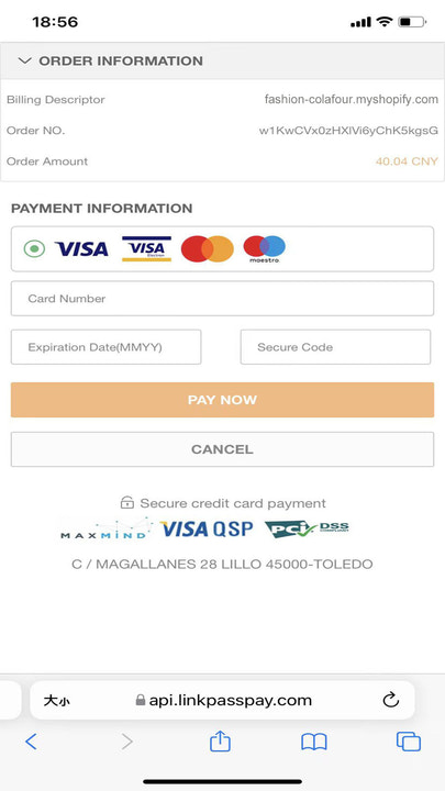 La página de pago está cifrada para garantizar la seguridad del pago.