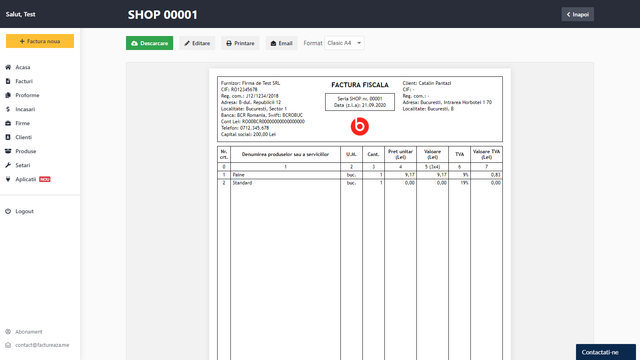 Invoice document preview