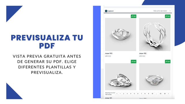 Ver vista previa de la plantilla antes de generar el PDF