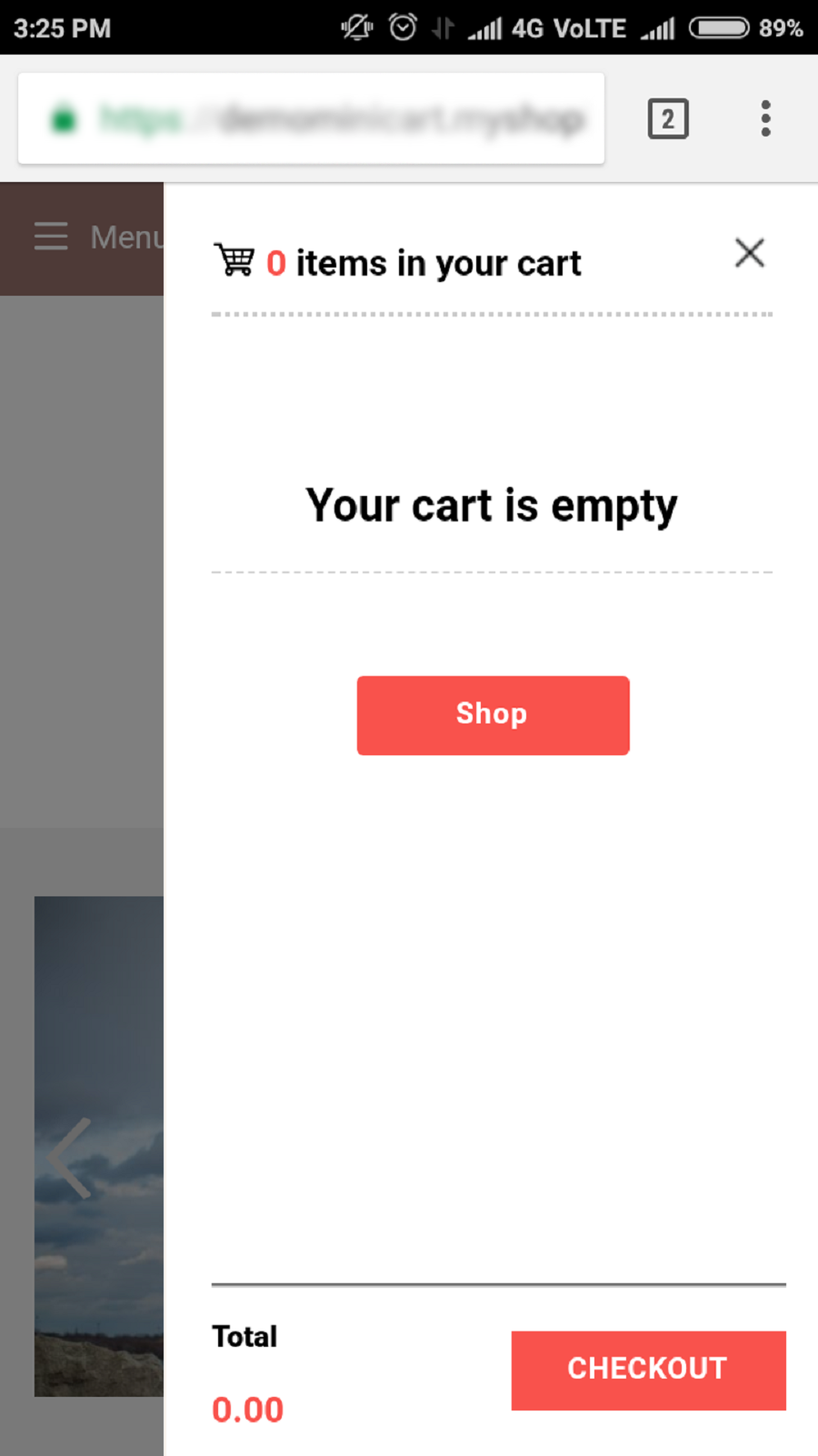 My mini cart‑Cart Drawer Screenshot