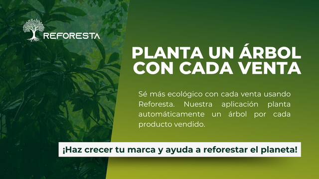 Reforesta