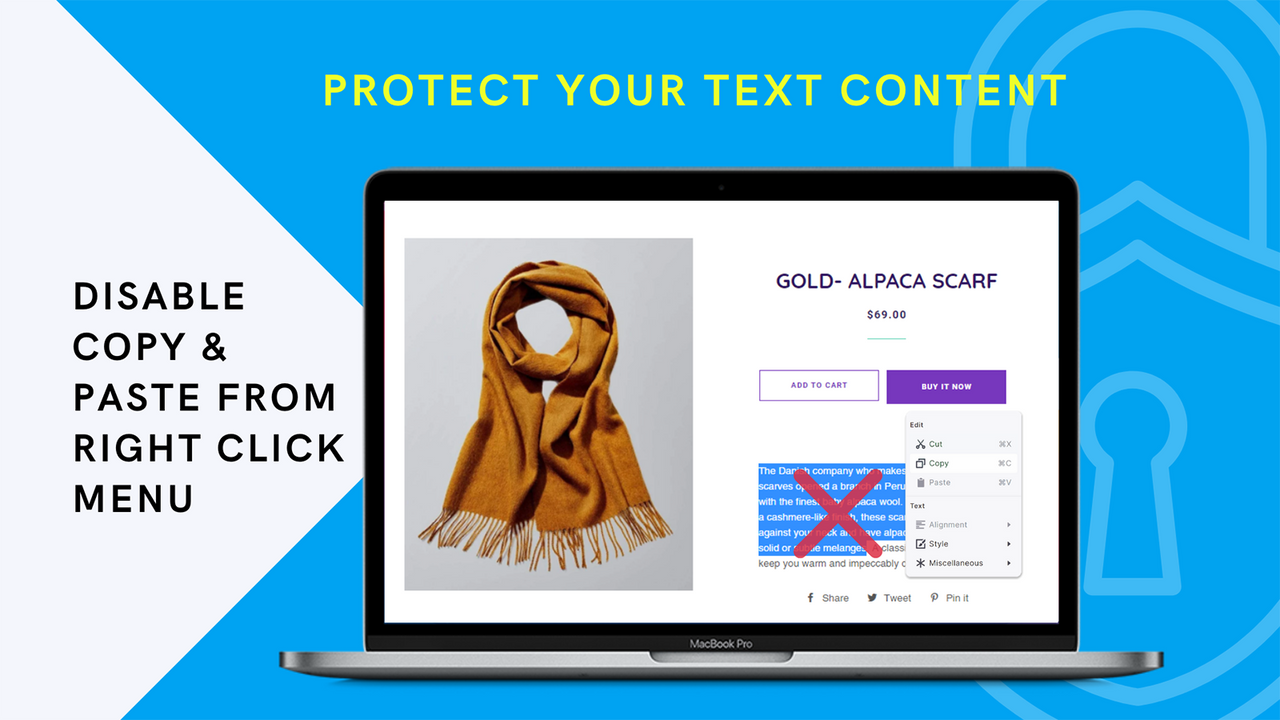 Cozy AntiTheft - Disable right click, Protects Stores Images, Text