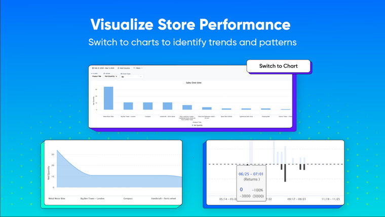 Report Pundit : Custom Reports Screenshot