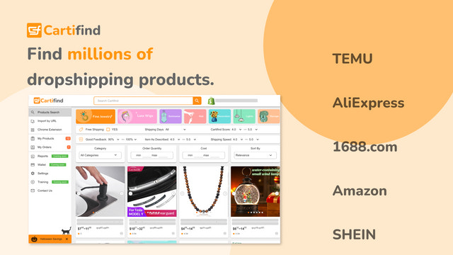 Temu Dropshipping - Everything You Need To Know About It