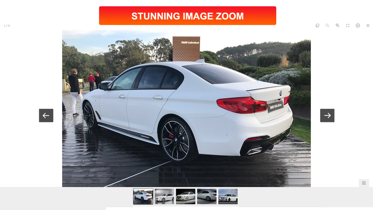 Image zoom, variant image, image optimizer