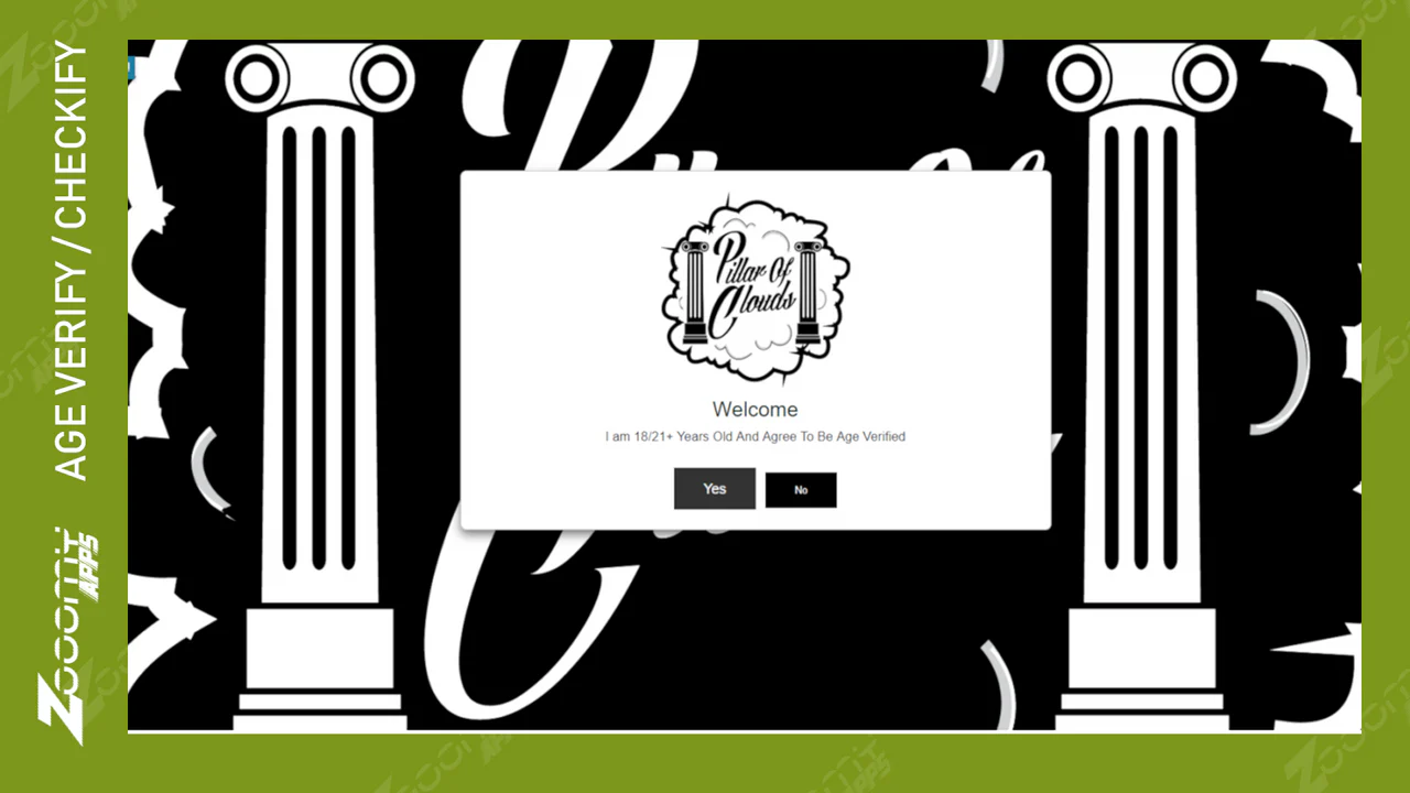 Zooomy Age Verification