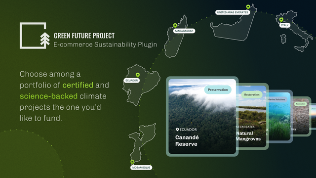 Environmental projects selection
