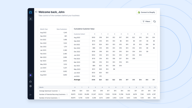 Screenshot of customer cohort and LTV table