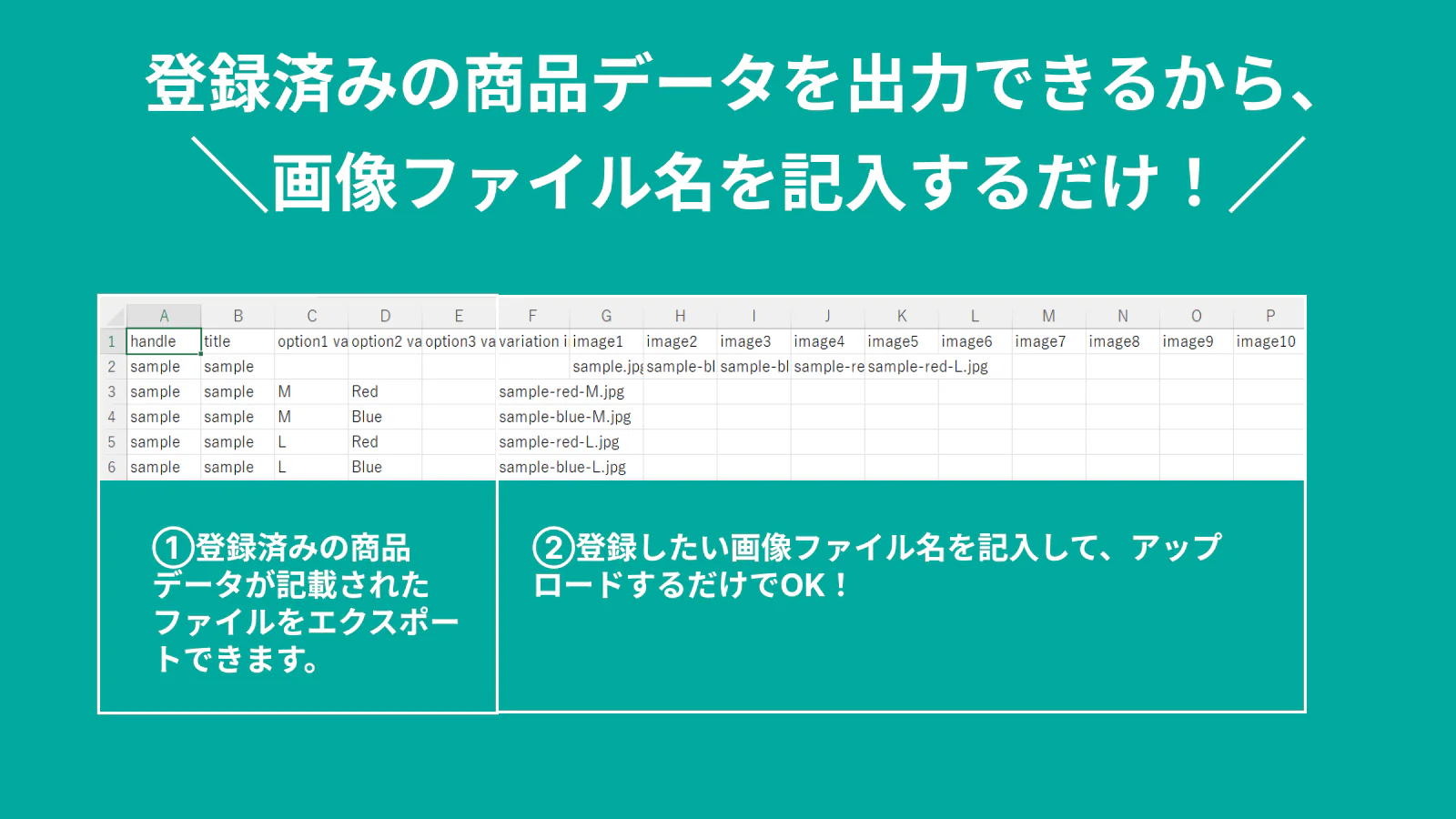 登録済みの商品データを出力できるから、 画像ファイル名を記入するだけ！