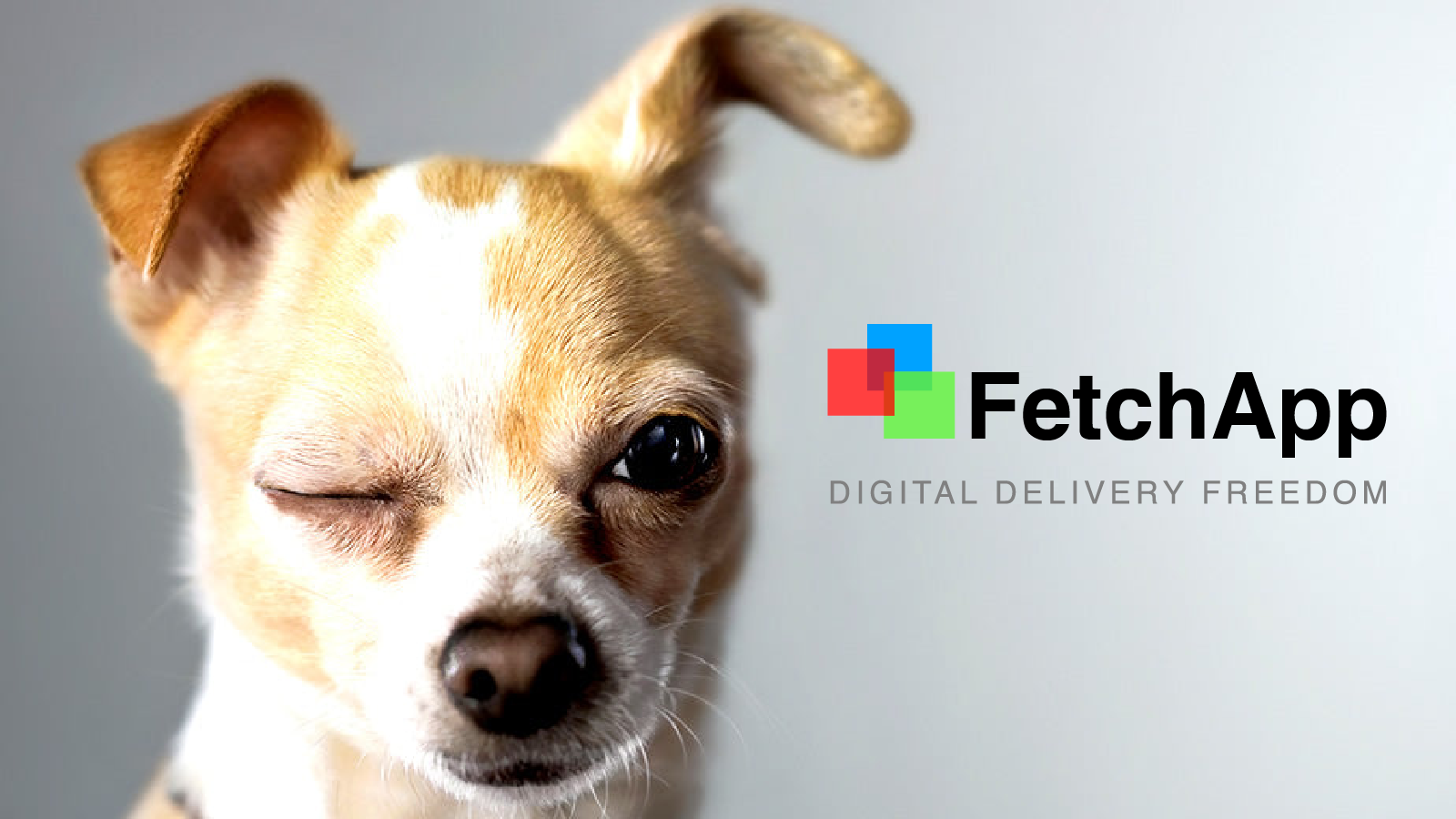 FetchApp | Digital leveransfrihet