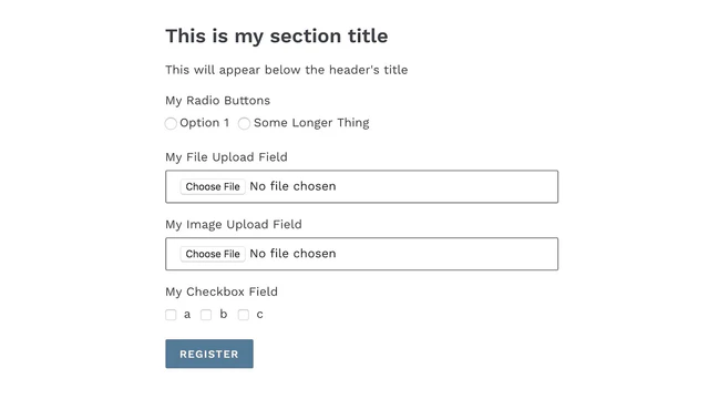 New fields loaded on the registration form