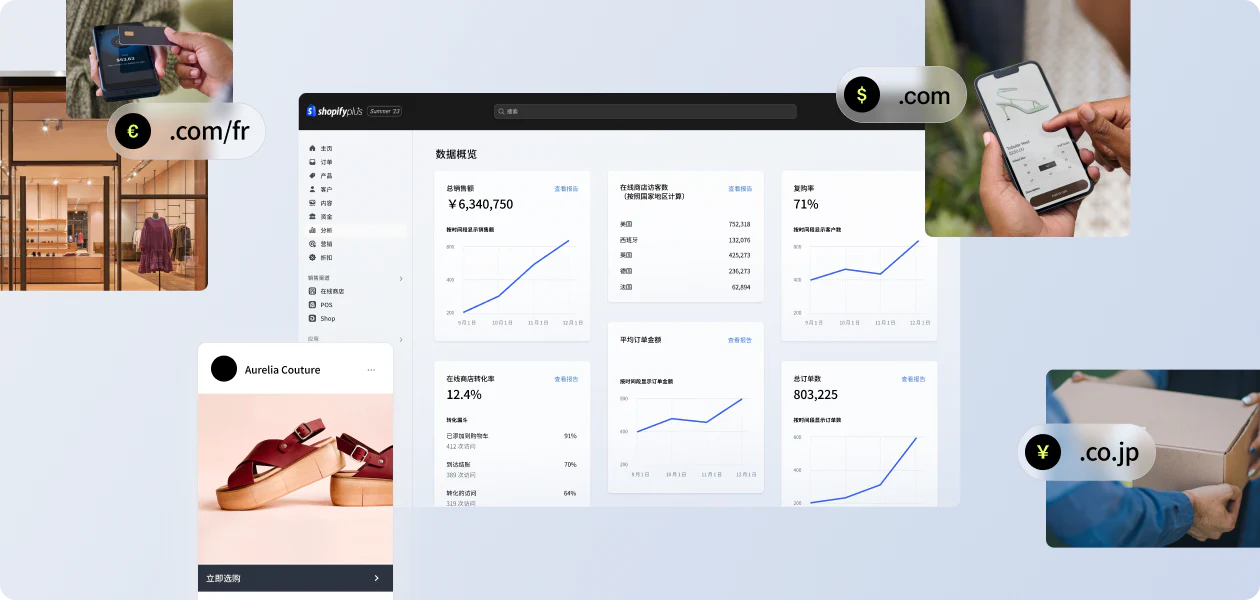 显示国际和本地销售数据的 Shopify Plus 后台