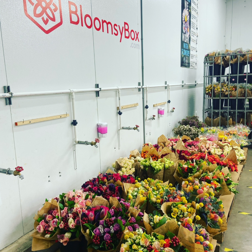 Una grande collezione di bouquet di fiori colorati dietro un muro dove è presente il logo di Bloomsybox