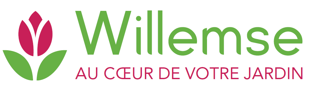 Willemse logo