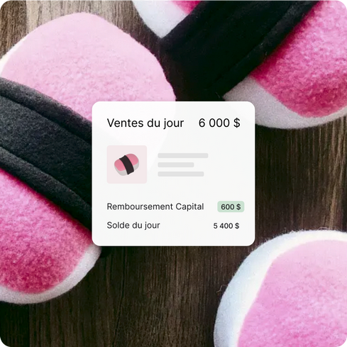 Le pourcentage de remboursement pour Shopify Capital issu des ventes quotidiennes d’un marchand ; Jouet en peluche rose en forme de musubi pour chien provenant d’une boutique pour animaux d’un marchand