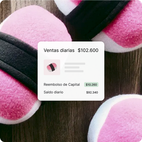 El porcentaje de reembolso de Shopify Capital de las ventas diarias de un comerciante; juguete de peluche rosa para perros con forma de musubi de la tienda de mascotas de un comerciante.