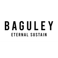 Linkpop profile picture for Baguley Guitars