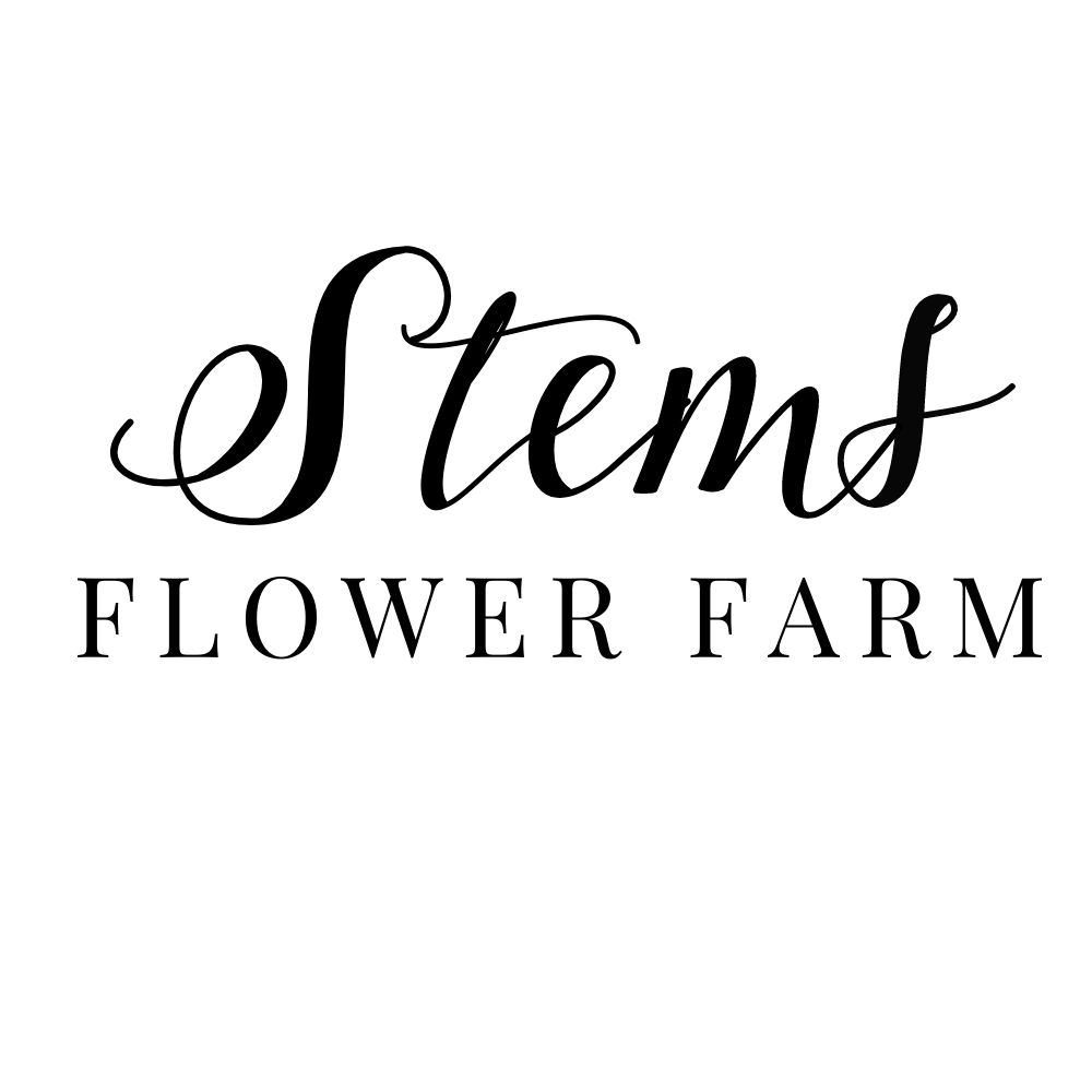 Stems Flower Farm Profile and Links | linkpop.com