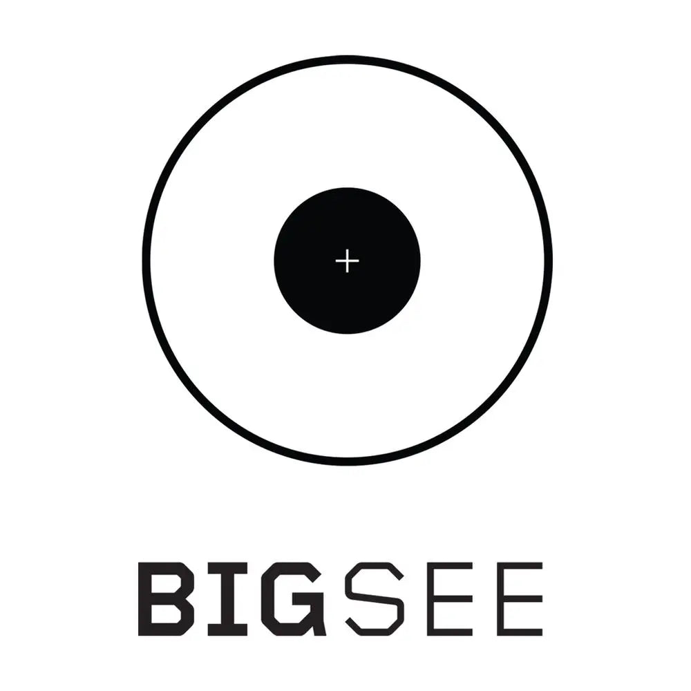 BIG SEE logo