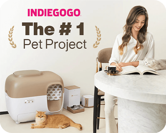 The Most Popular Pet Project on IndieGoGo