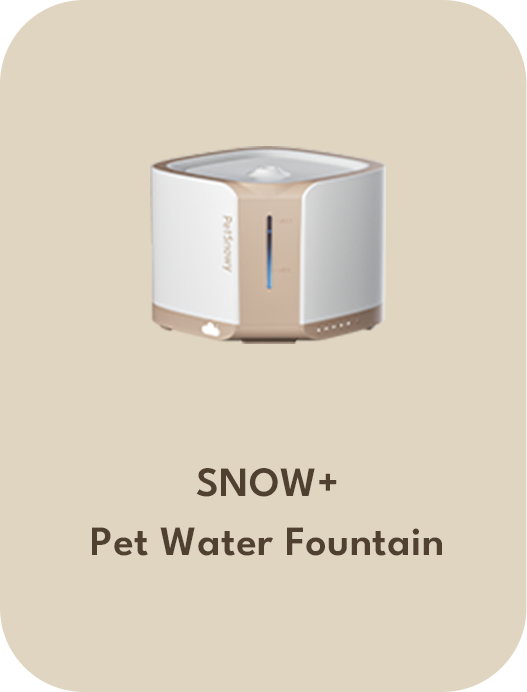 snow-water-fountain