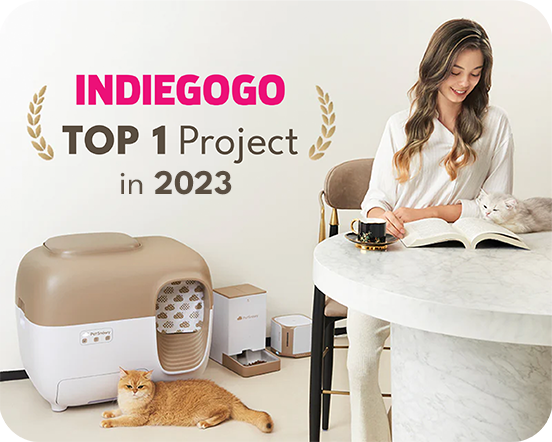 Indiegogo's Top 1 Project