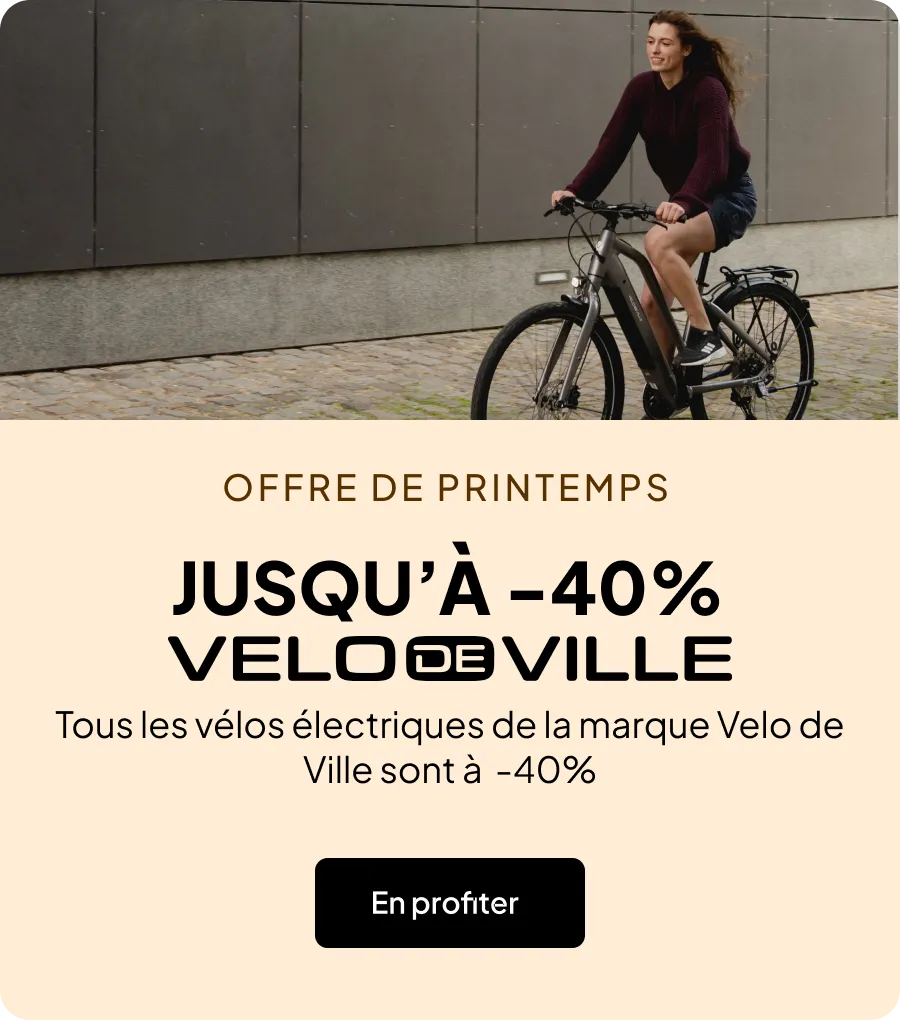 Tous les vélos électriques de la marque Velo de Ville sont à  -40%