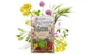 Cover Crop Seeds