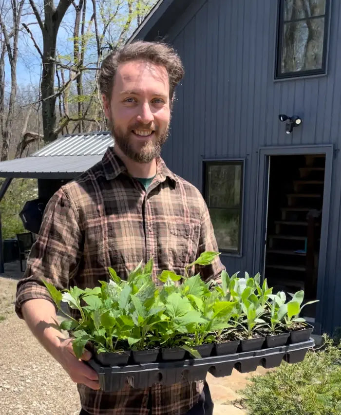 Custom planting map included with each kit.