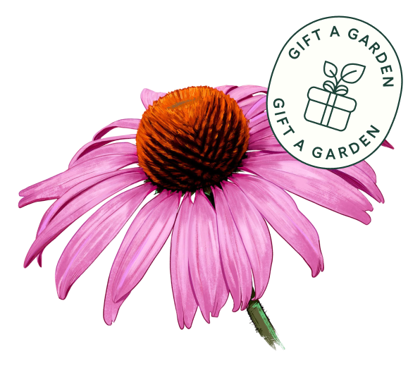 Coneflower with gift a garden badge