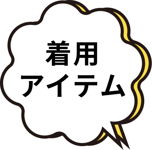 着用アイテム