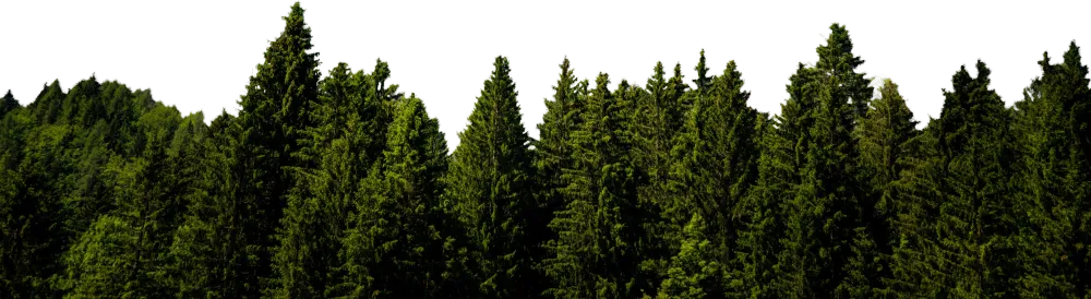 Trees (Parallax)