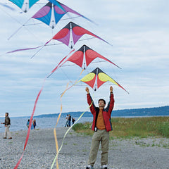 Mark Reed Prism Kites
