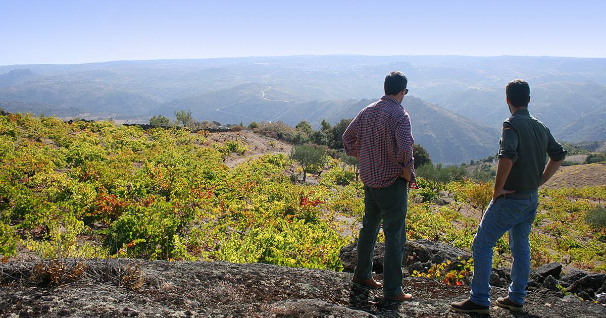 Ricardo Alves og Fred Machado, Arribas Wine Company