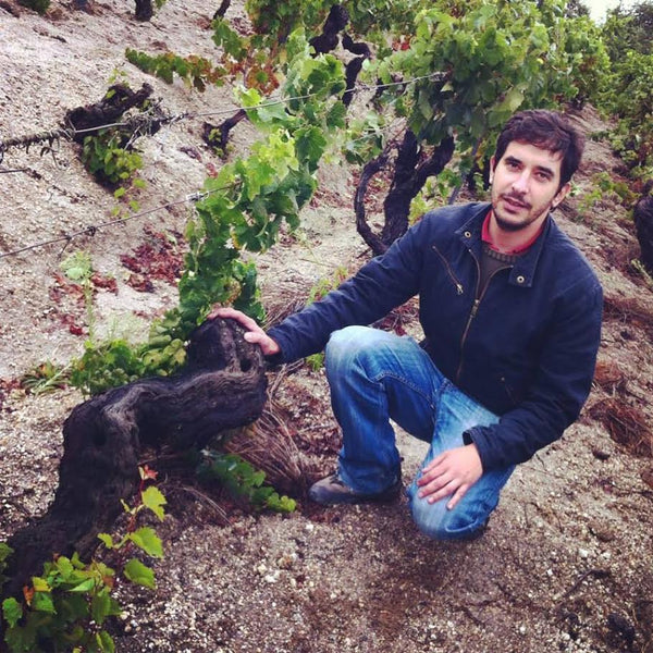 Antonio Madeira i vinmarkerne