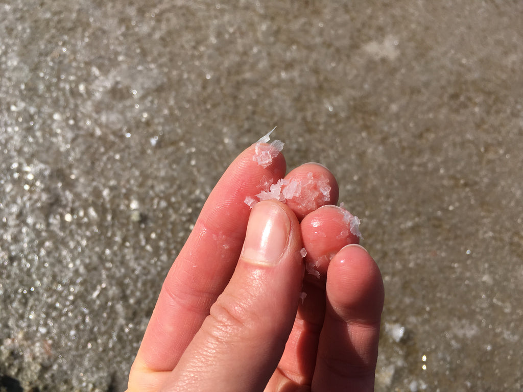 The fine crystals of fleur de sel