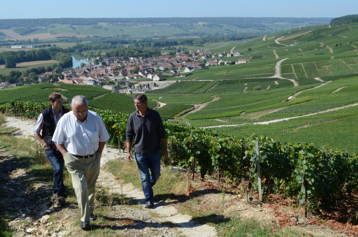 Famille Vadin plateau in vineyards
