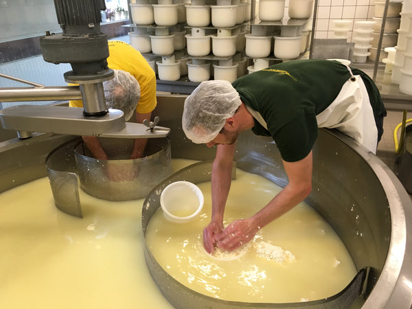 The curd is pressed into molds by hand