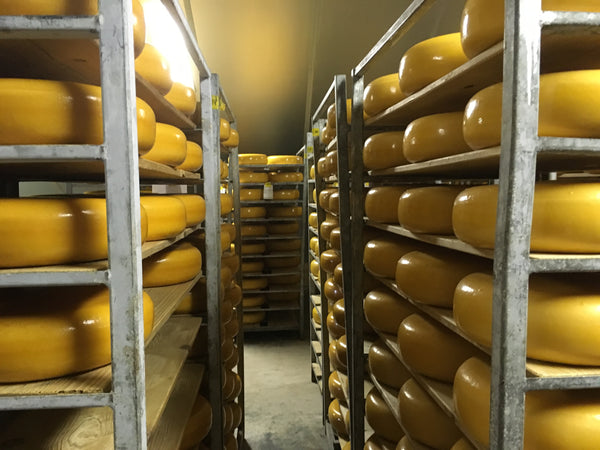 Old cheeses in the upper cheese store