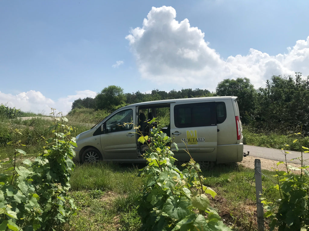 The Moutard van in the vineyards