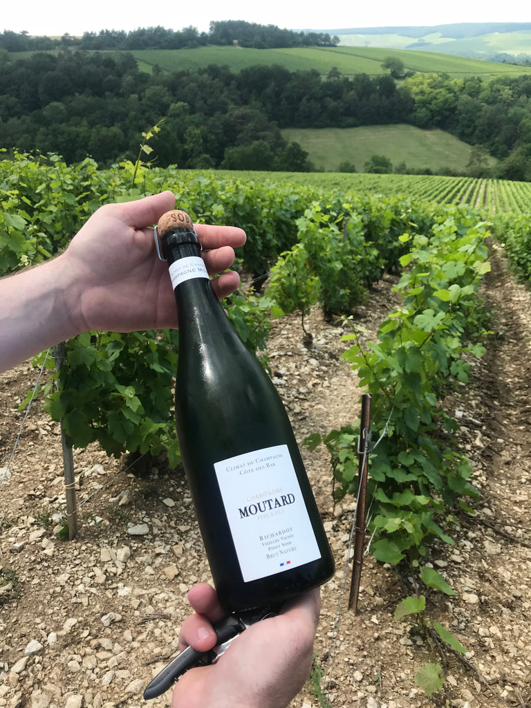 Champagne Moutard vieilles vignes 100% Pinot Noir Richardot