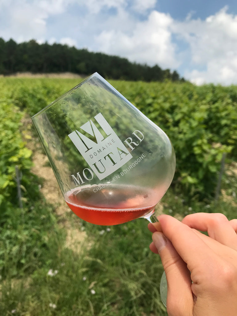 Champagne Rosé Dame Nesle, in a glass.