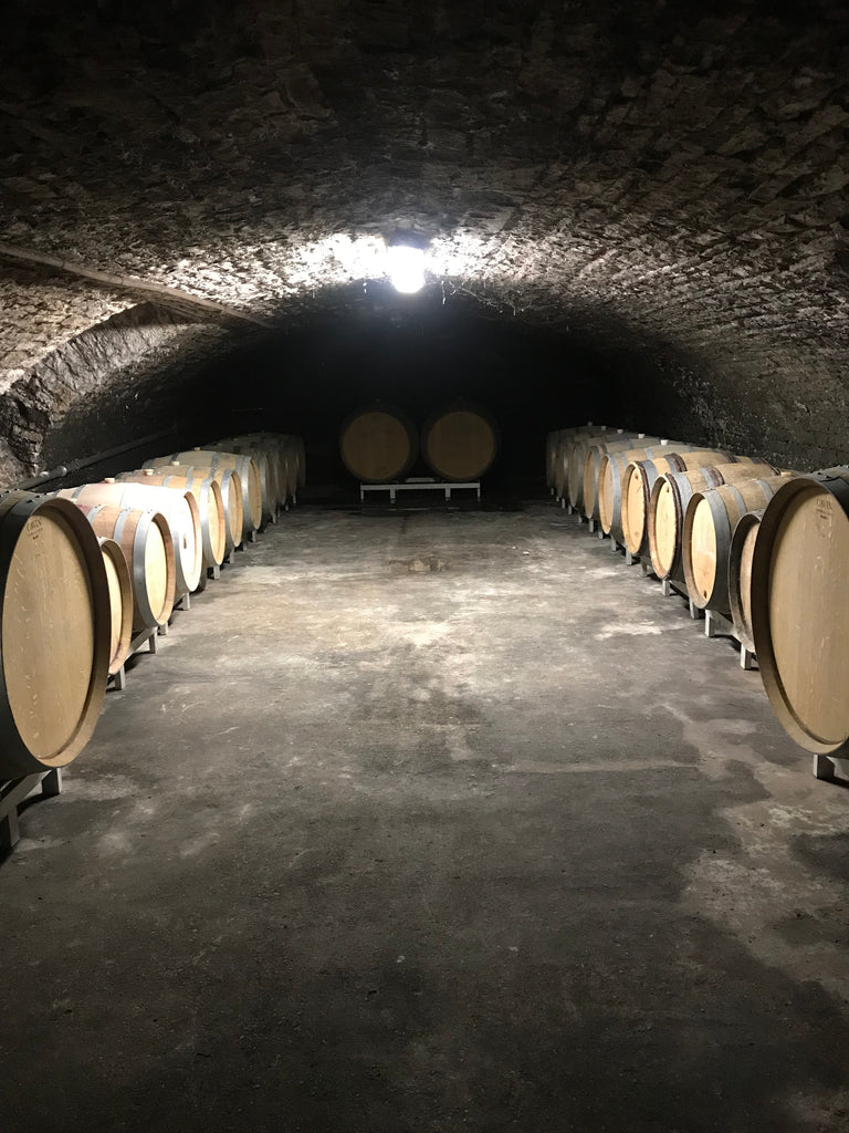 barrels in the basement