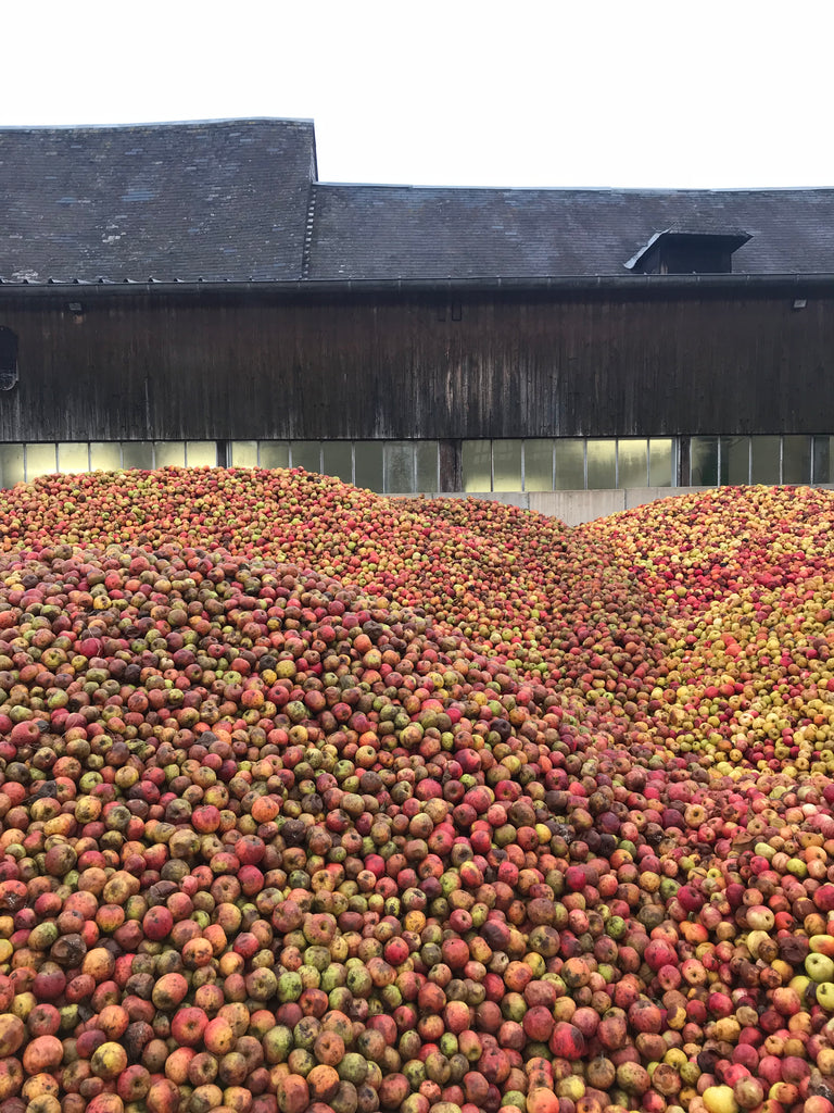 Stored apples