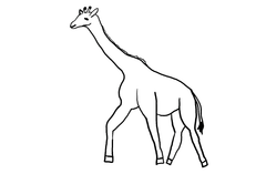 Giraffe Outline