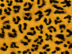 Leopard Pattern