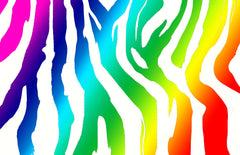 Rainbow Zebra Pattern