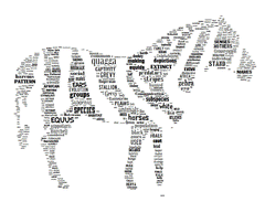 Zebra Words Tag Cloud