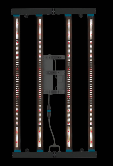 Hydra-320 LED